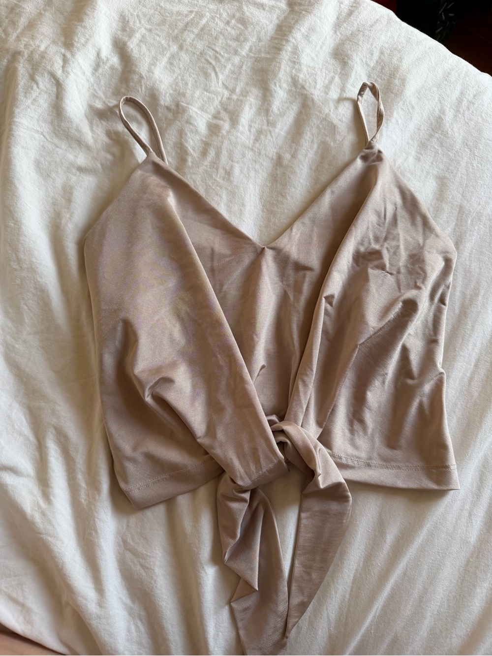 Zara beige top